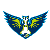 Info about Wings